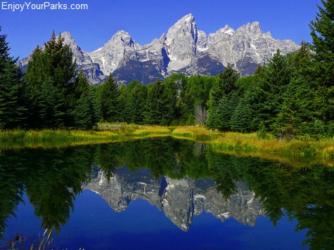 Schwabacher Landing, Grand Teton National Park Schwabacher Landing, Grand Teton National Park